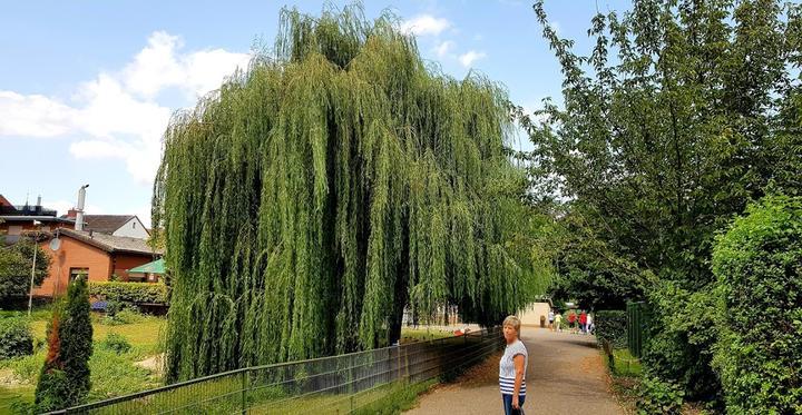 Gaststaette Zum Vogelpark