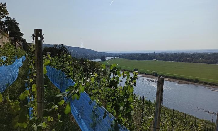 Restaurant Schloss Eckberg